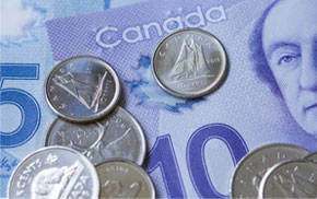 dumpster rentals and garbage bin rentals Fredericton